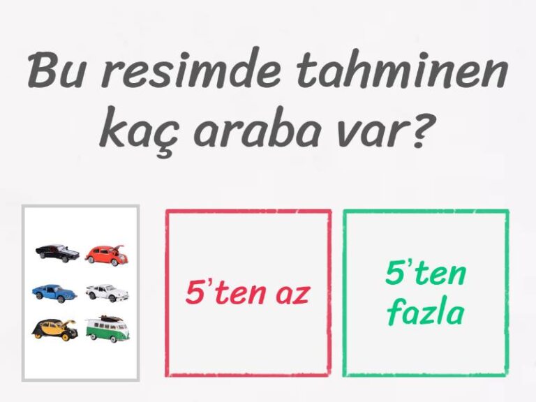 1. Sınıf Tahmin
