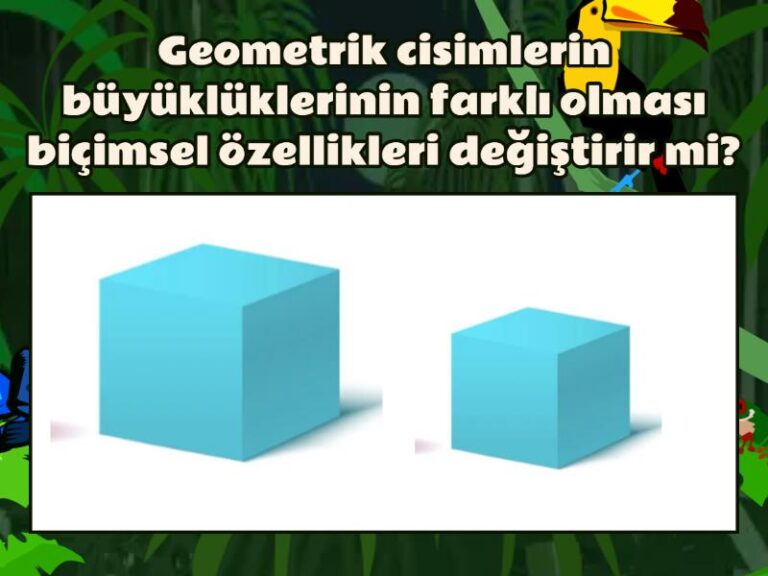2. Sınıf Geometrik Cisim ve Şekillerin Biçimsel Özellikleri