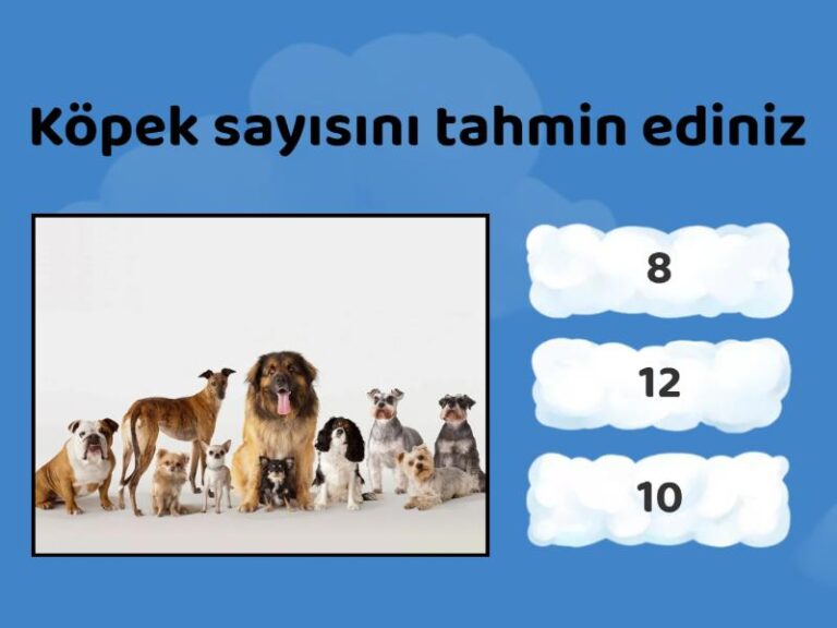 2. Sınıf Nesne sayısını tahmin etme