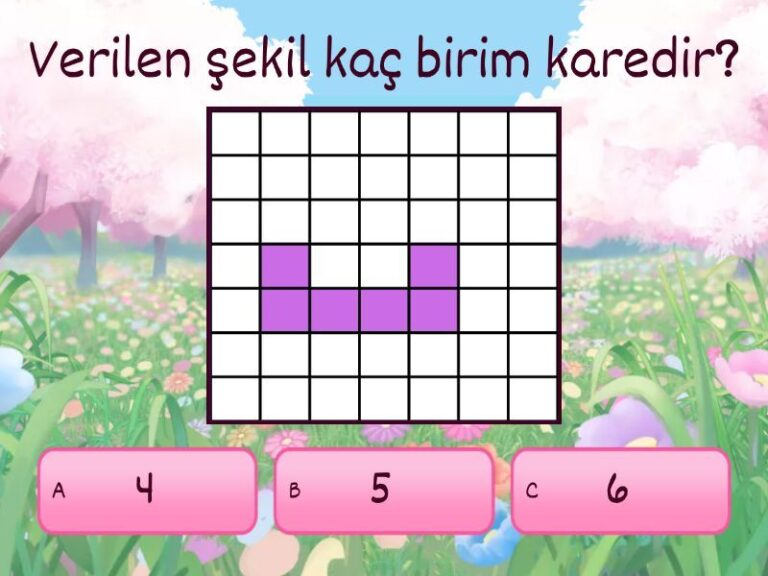 3. Sınıf Alan Ölçme