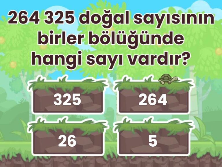 4. Sınıf Basamak-bölük