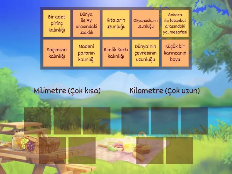 4. Sınıf Milimetre Kilometre kullanım alanları
